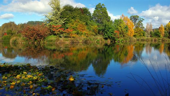 塔斯馬尼亞園林