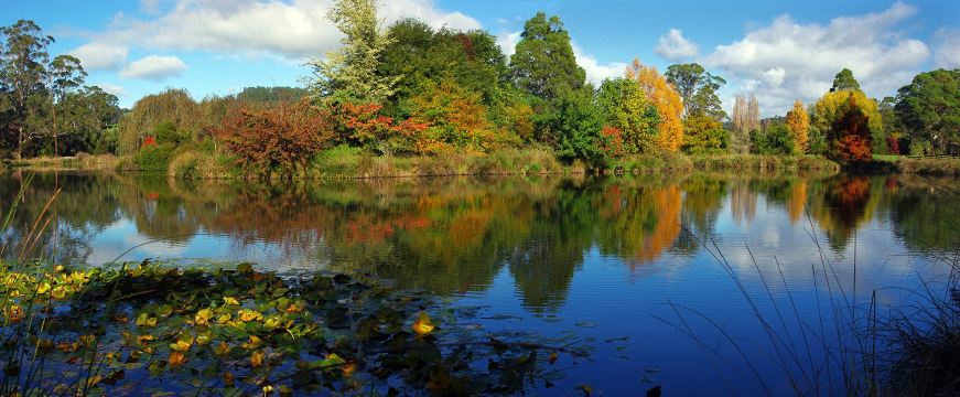 Tasmanian Arboretum