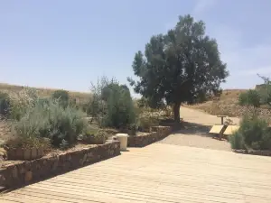Tel Be’er Sheba