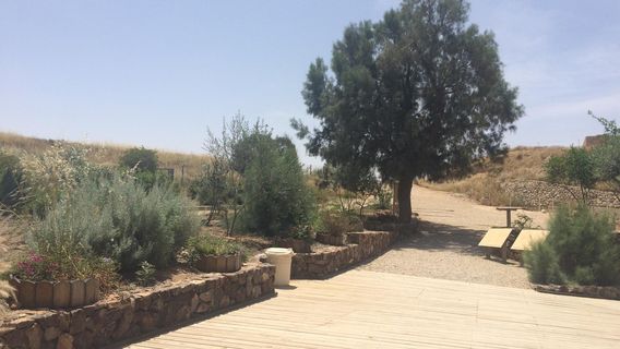 Tel Be’er Sheba