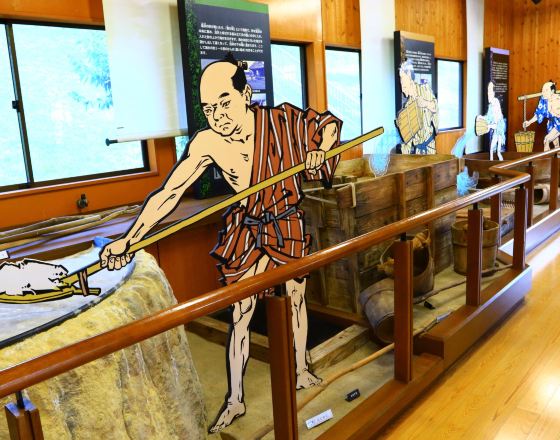 延岡市 自由行套票