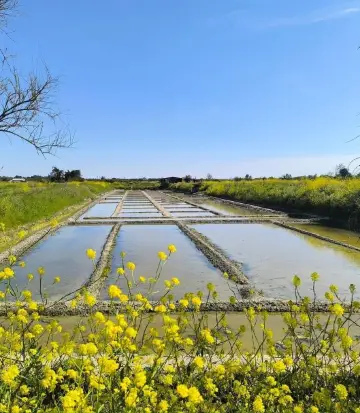 Saint-Hilaire-de-Riez