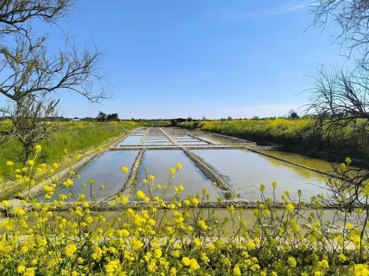 Hôtels à : Saint-Hilaire-de-Riez