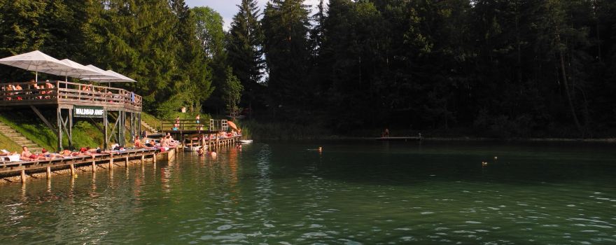 Kletterpark Waldbad Anif