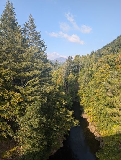 Highland Fling Bungee