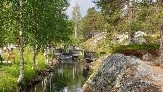 Fjällbotanisk Trädgård