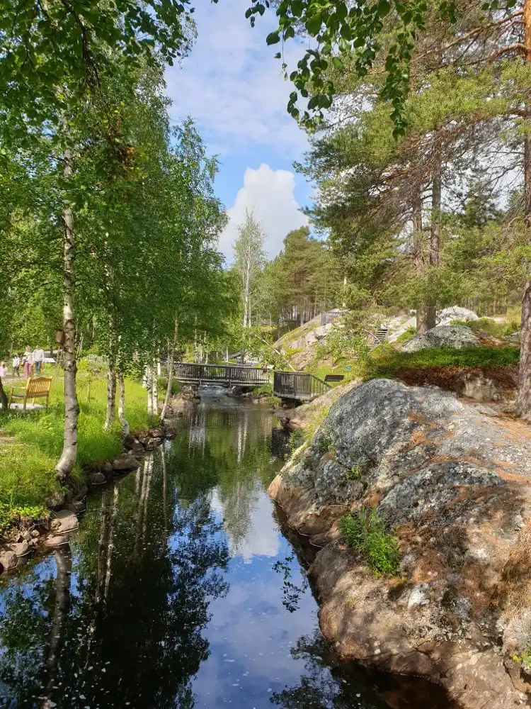 Hotels in der Nähe von Fjällbotanisk Trädgård