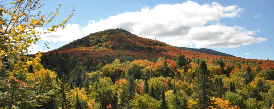 Parc régional Massif du Sud