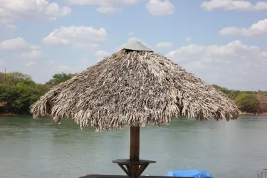 Floriano
