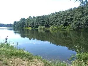 Barrage du Ternay