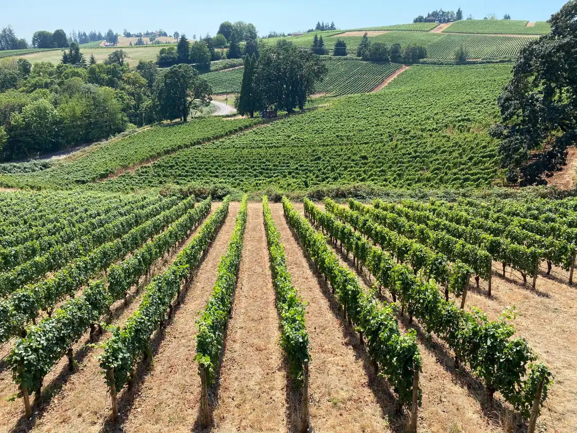 Hotels near De Ponte Cellars