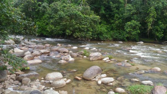 Kuala Woh Recreational Forest