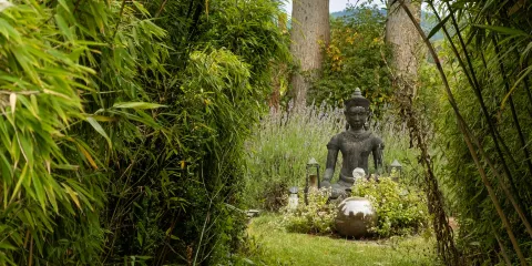 Dilston Physic Garden