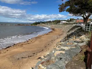 Penguin Foreshore