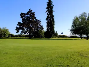 Fiddler's Green Golf Center