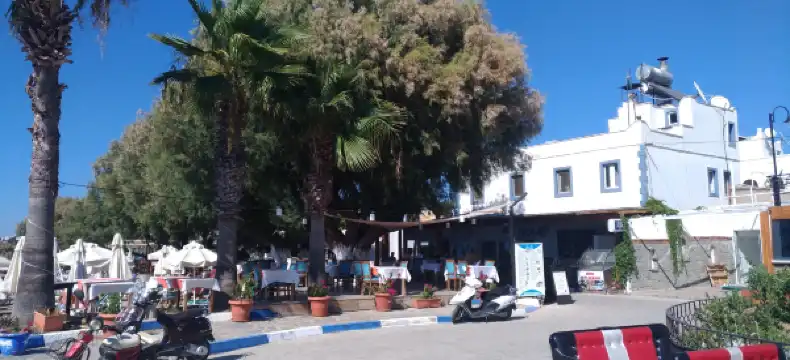 Hotels in Yalikavak