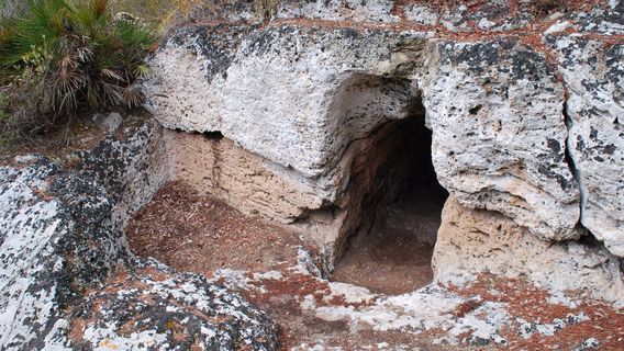 Cuevas de l'Alzinaret