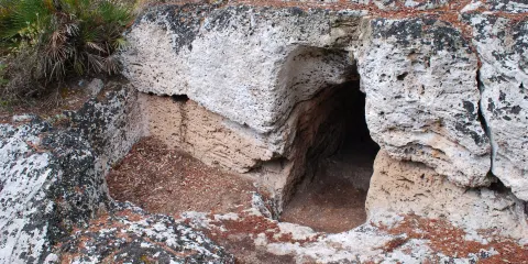 Cuevas de l'Alzinaret