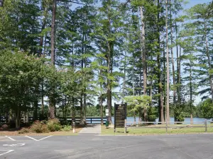 Lawton Park