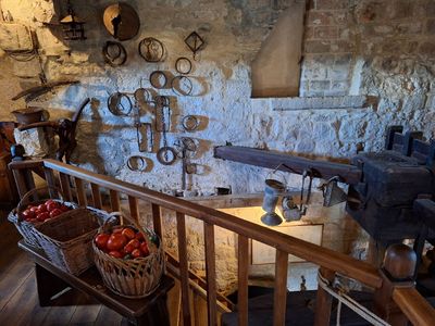 Olive oil museum