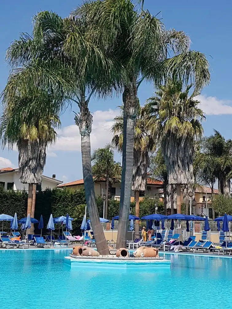 Hotel in zona Les Palmas