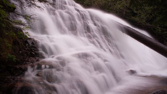 Revelstoke