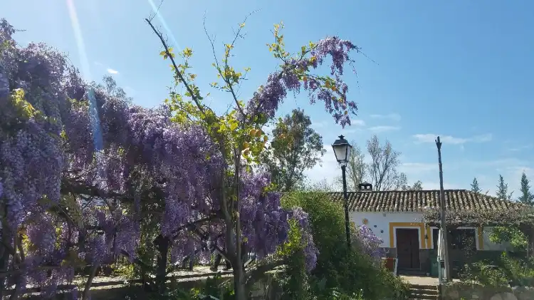 Hôtels à : El Bosque