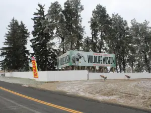 Lasting Legacy Wildlife Museum