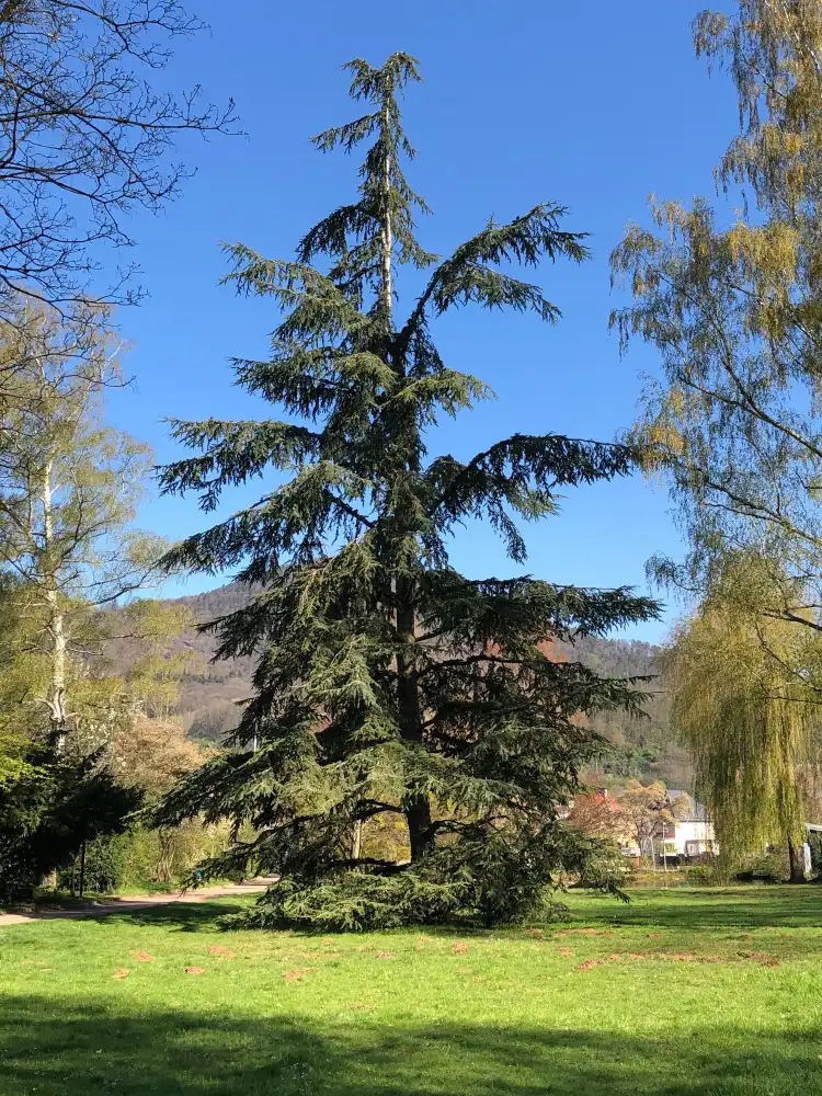 Hôtels à : Annweiler am Trifels