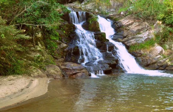 米格爾－佩雷拉