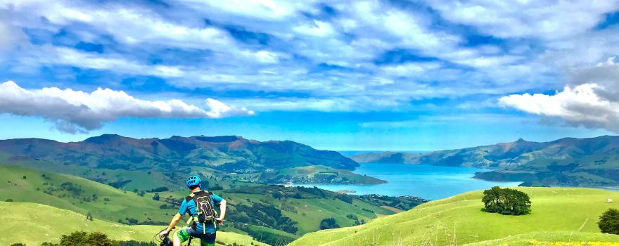 Akaroa Ebike Safaris