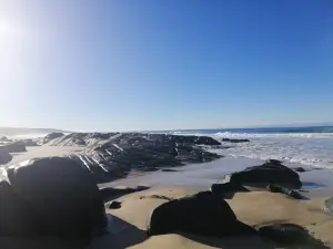 Lagoon Beach Campground