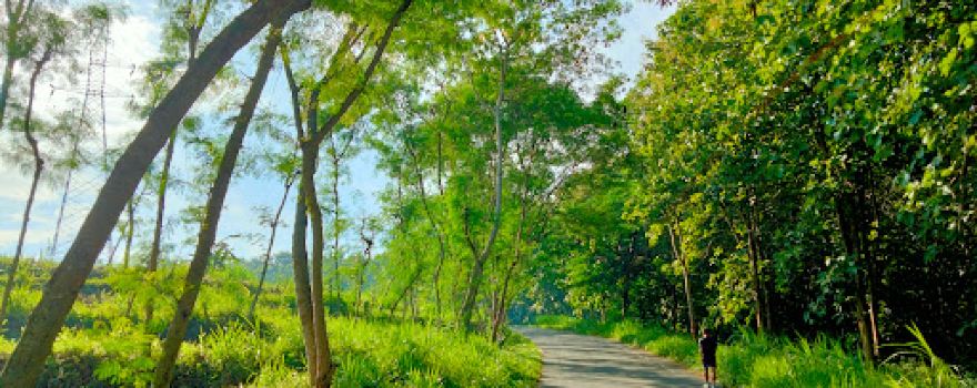 Kaloka Forest