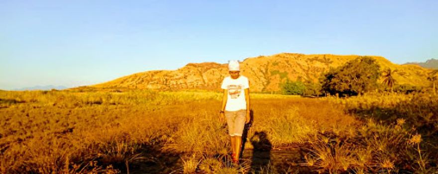 Green Mangrove Forest of Maumere City
