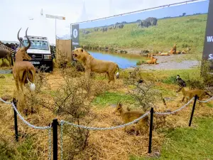 Friedkin Recreation Centre