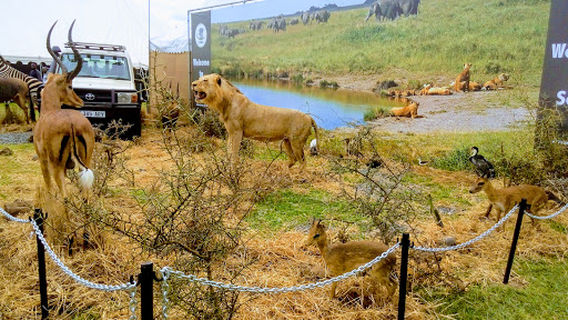 Friedkin Recreation Centre