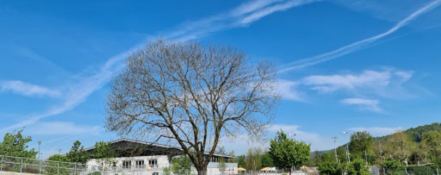 Schuwo Park