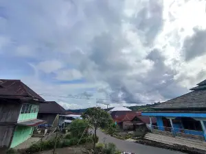 Desa Tanjung Kari