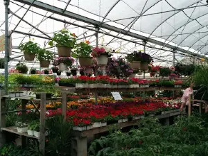 Hortibeauce - Botanix Garden Center