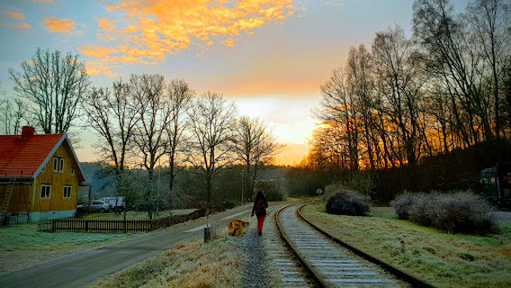 Bangolfklubben Munken