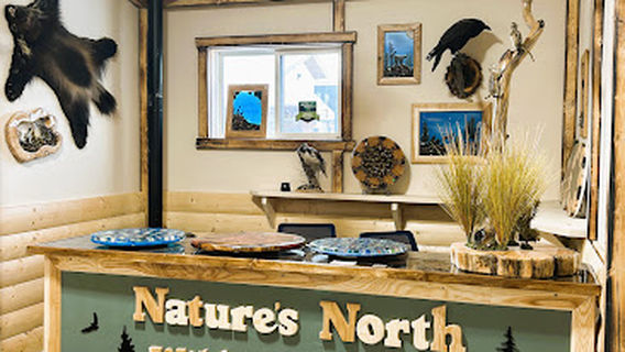 Nature's North Wildlife Gallery