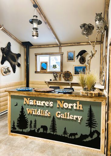 Nature's North Wildlife Gallery