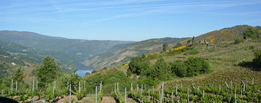 Miradoiro da Galeana