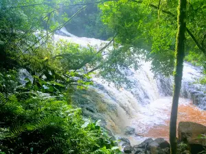 Camping y Salto Piedras Blancas