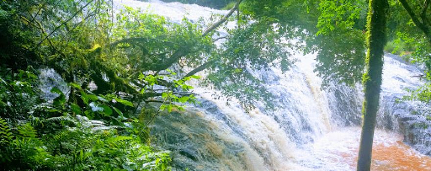Camping y Salto Piedras Blancas