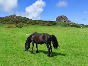 Haytor Rocks
