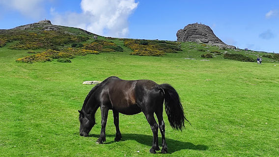 Haytor Rocks