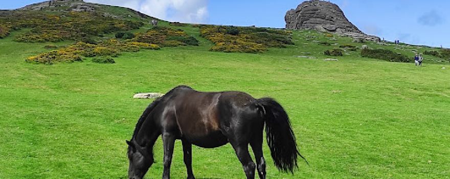 Haytor Rocks