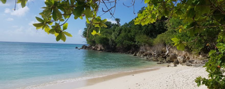 Anse Cambou