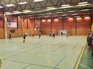 Barduhallen